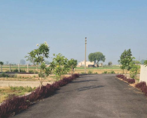 Plot Road View 4